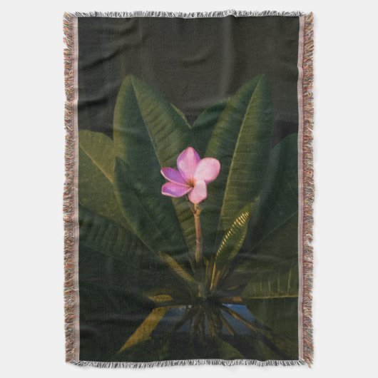 最初の開花、プルメリア スローブランケット (正面縦)