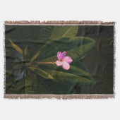 最初の開花、プルメリア スローブランケット (正面)