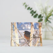 最初の鳥 ポストカード (スタンド正面)