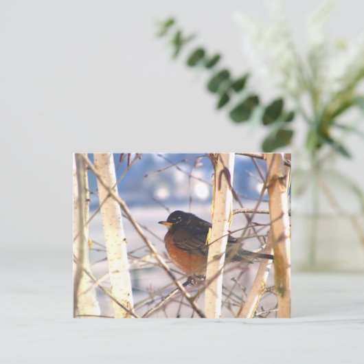 最初の鳥 ポストカード (スタンド正面)