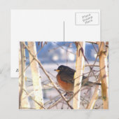 最初の鳥 ポストカード (正面/裏面)