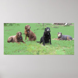 最初の4 ポスター