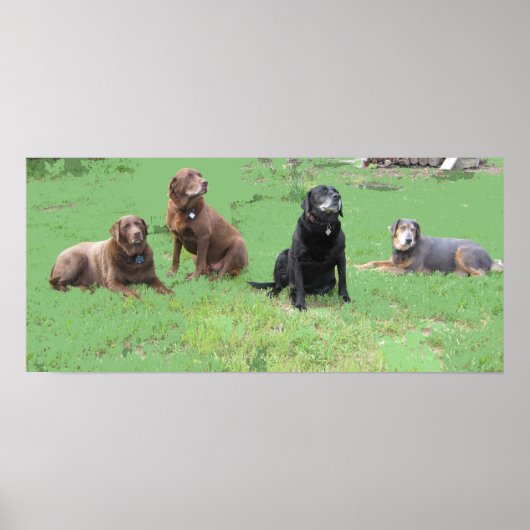 最初の4 ポスター (正面)