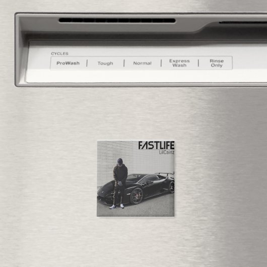 最初の マグネット (インサイチュ (食洗機))