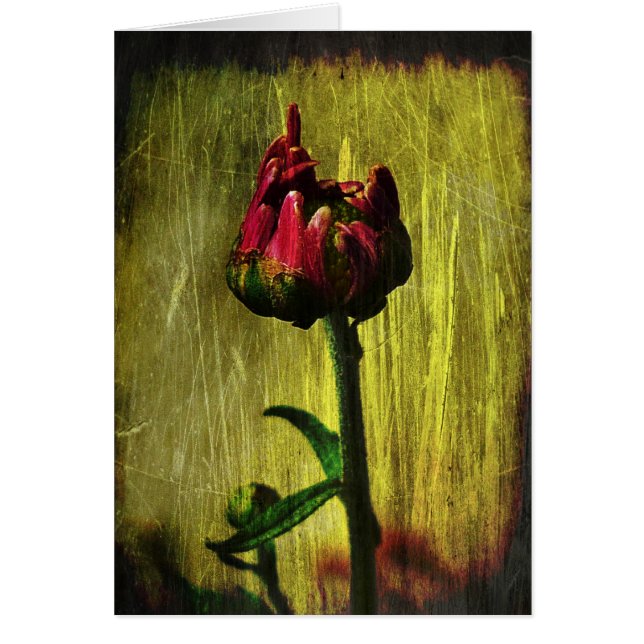 最初ミイラ (正面)