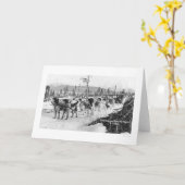 最初犬のチームアラスカ1910年 カード (黄色い花)