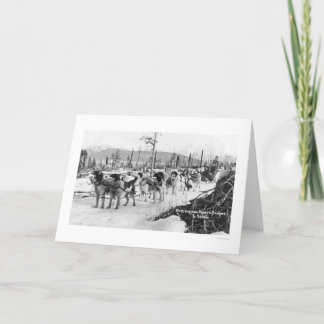 最初犬のチームアラスカ1910年 カード