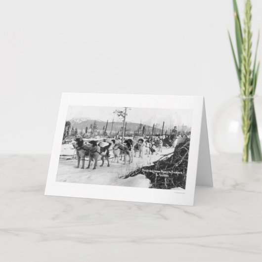 最初犬のチームアラスカ1910年 カード (正面)
