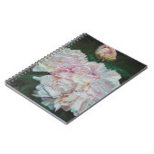 最初開花2012年 ノートブック (左側)