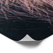 最古のチンパンジー ポスター (角)