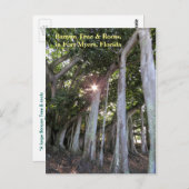 最大のバンヤンツリーフォートマイヤーズフロリダ葉書 ポストカード (正面/裏面)