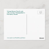 最大のバンヤンツリーフォートマイヤーズフロリダ葉書 ポストカード (裏面)