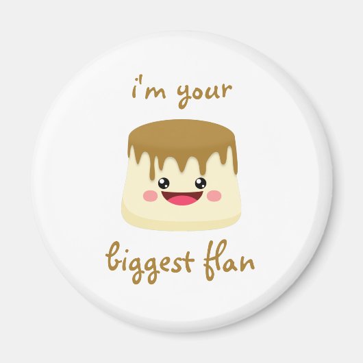 最大のフラッグ マグネット (正面)