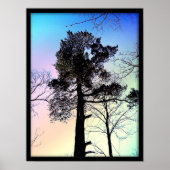 最大の木 ポスター (正面)