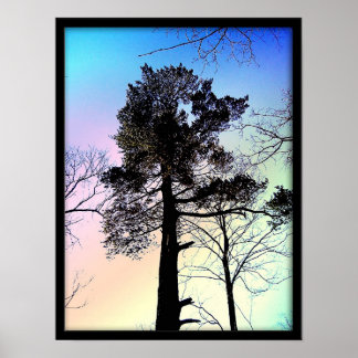 最大の木 ポスター