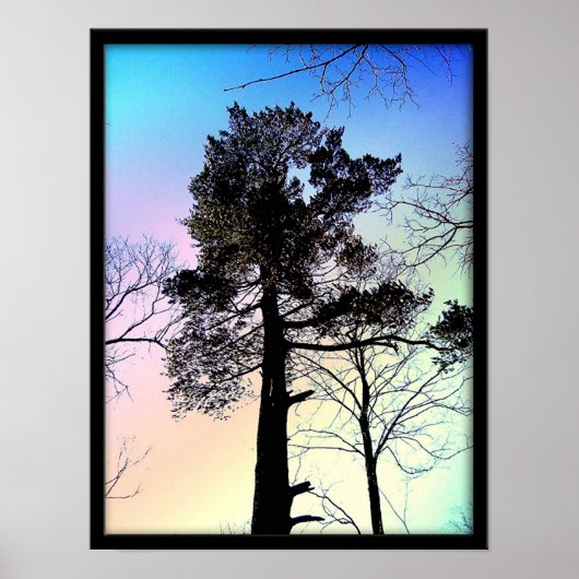 最大の木 ポスター (正面)