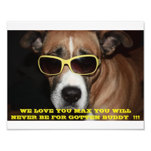 最大の記念写真 フォトプリント            (正面)