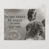 「最大の障害」感動的引用文 ポストカード (正面)