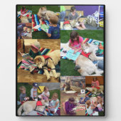 最大セラピーイーゼル(8x10) フォトプラーク (正面)