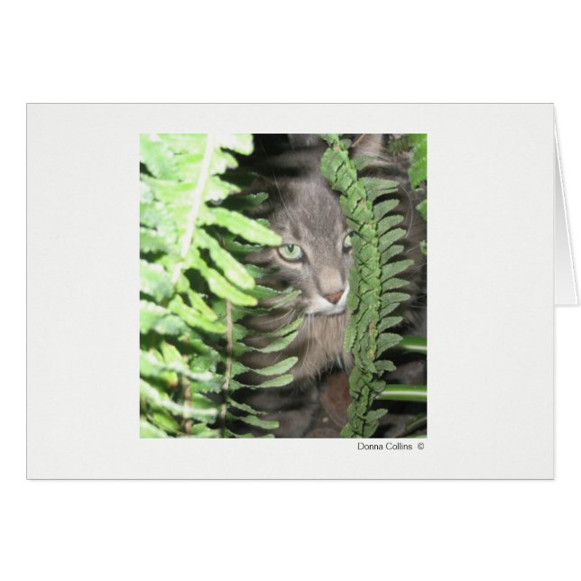 最大ネコ#2 (正面横)