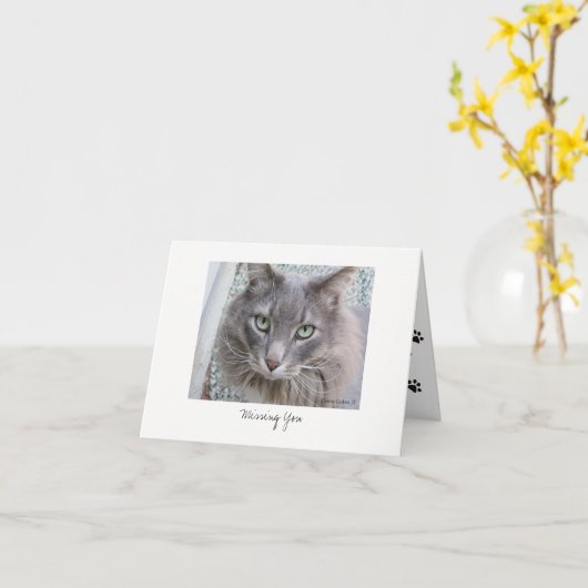 最大ネコ#5 カード (黄色い花)