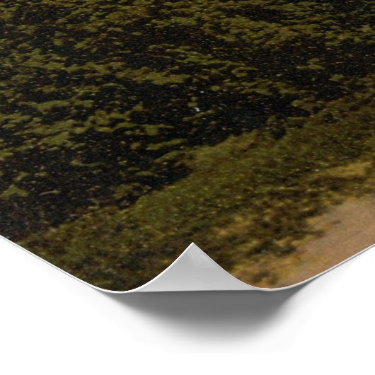 最大腸瘤 ポスター (角)