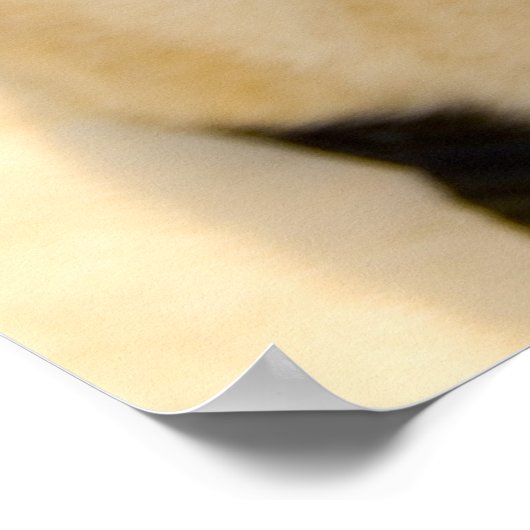 最大PUG ポスター (角)