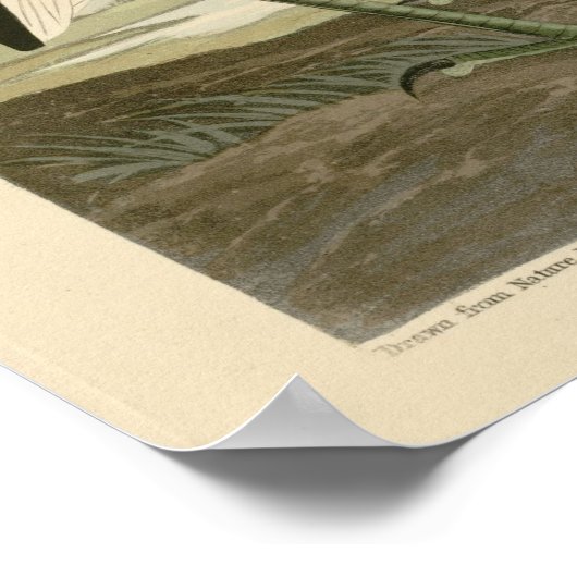 最小にがり ポスター (角)