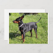 最小ピン黒、さびが完全 ポストカード (正面/裏面)