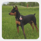 最小ピン スクエアシール (正面)