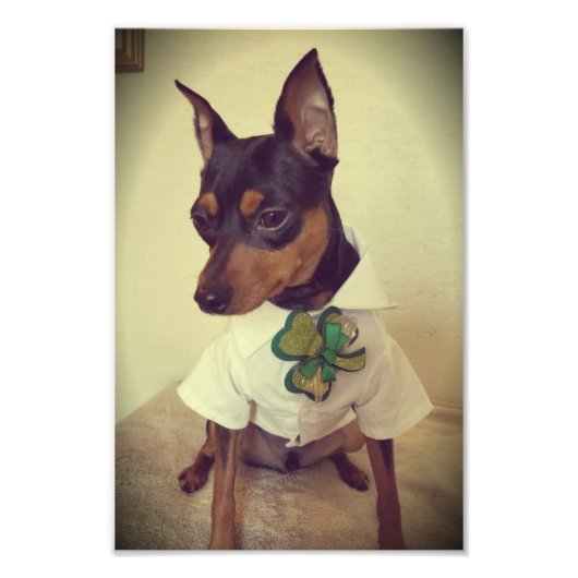 最小端子 フォトプリント            (正面)