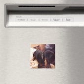 最小間抜けピン マグネット (インサイチュ (食洗機))