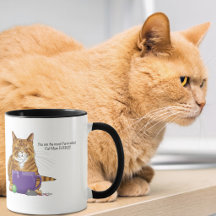 最強の猫ママ！