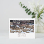 最後に戻る – Rusty Car Photo ポストカード (スタンド正面)