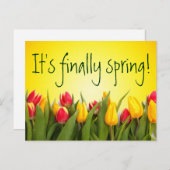 最後に春カラフル春チューリップイエロー ポストカード (正面/裏面)