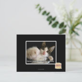 最後のもの ポストカード (スタンド正面)