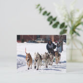 最後のストレッチポストカード ポストカード (スタンド正面)