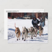 最後のストレッチポストカード ポストカード (正面/裏面)