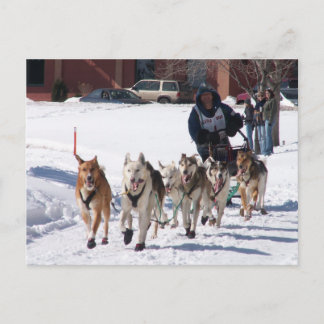 最後のストレッチポストカード ポストカード