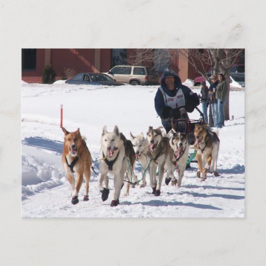 最後のストレッチポストカード ポストカード (正面)