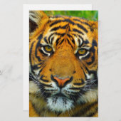 最後のタグ 便箋 (正面/裏面)