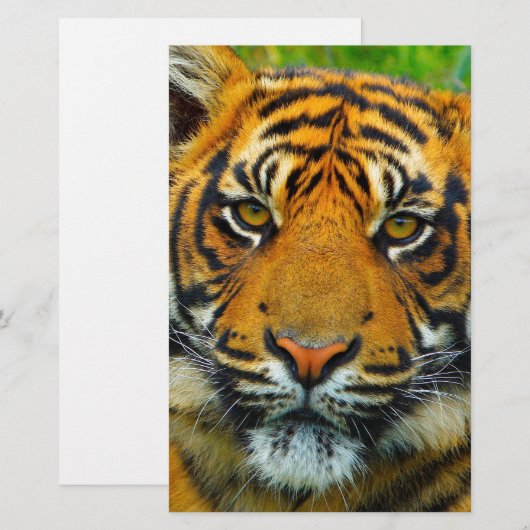 最後のタグ 便箋 (正面/裏面)