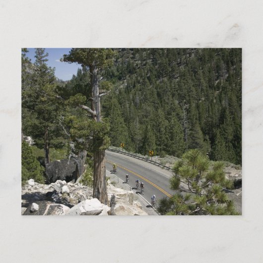 最後の上昇 ポストカード (正面)