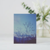 最後の光 ポストカード (スタンド正面)