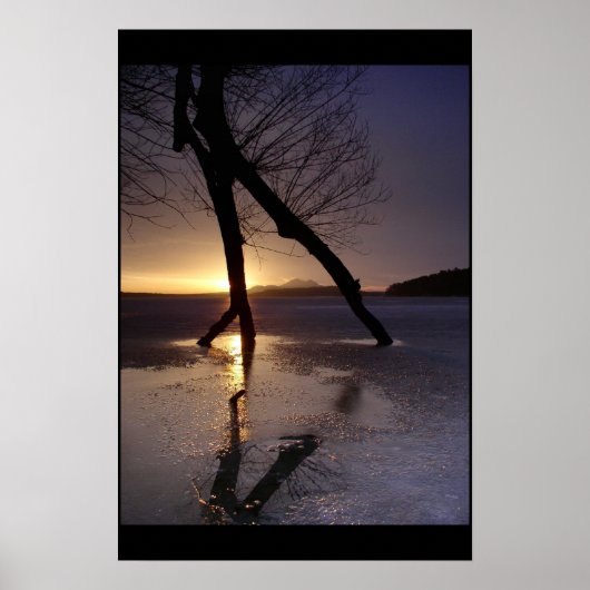 最後の姿 ポスター (正面)