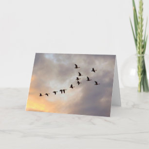 最後の抗がん剤治療お祝い自然カード カード