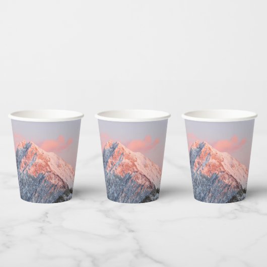 最後の日照山ストルジチ，スロベニア 紙コップ (複数)