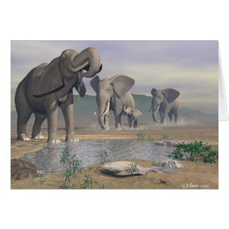 最後の水たまり