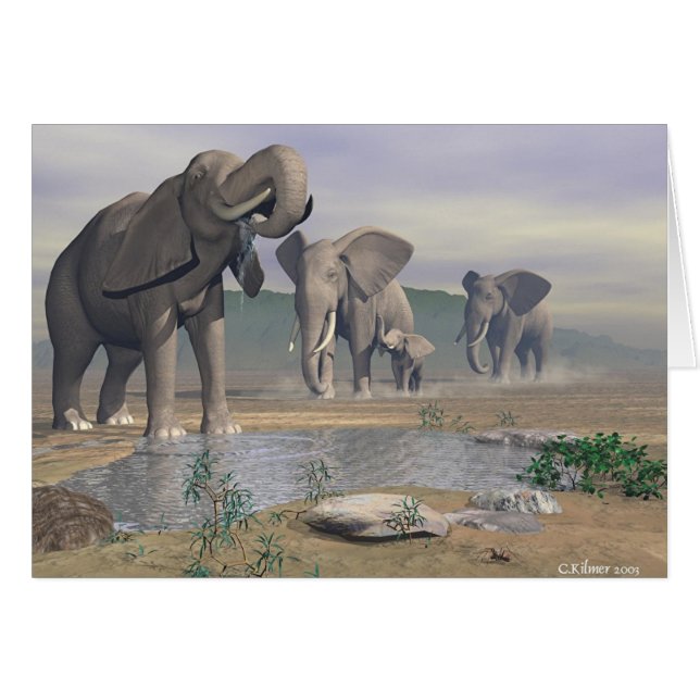 最後の水たまり (正面横)