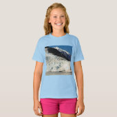 最後の氷解 Tシャツ (正面フル)